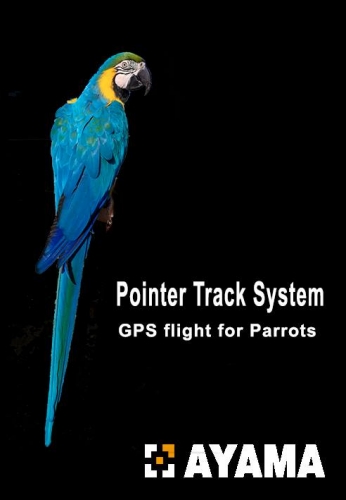 Pack Pointer Track Parrot