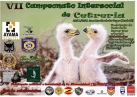 Intersocial Falconry Championship of the Community of Madrid 2021